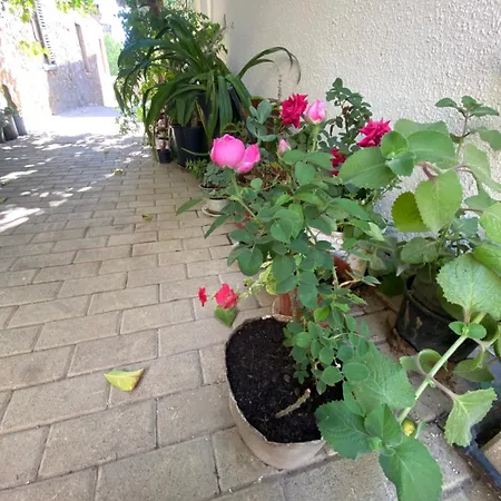 Grandmother's House Αμμόχωστος