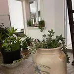 Grandmother's House