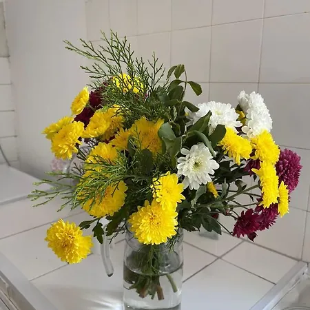 Grandmother's House