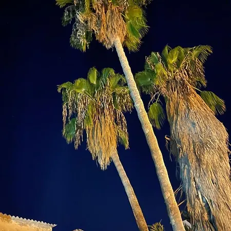 Grandmother's House * Famagusta (Northern Cyprus)