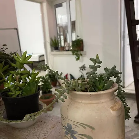 Grandmother's House