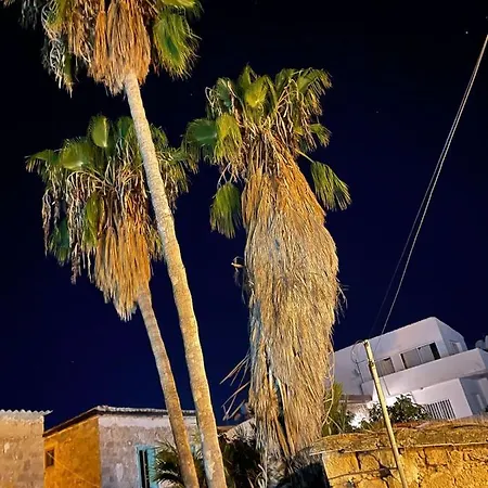 Grandmother's House *