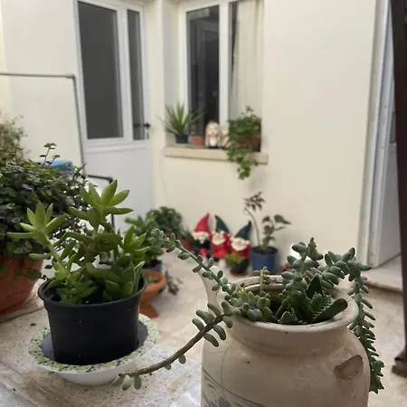 Grandmother's House 파마구스타