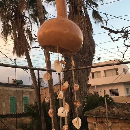 Grandmother's House *