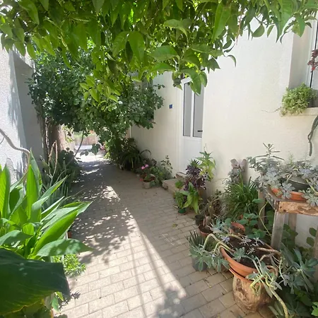 Grandmother's House