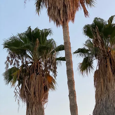 Grandmother's House Дом отдыха Фамагуста