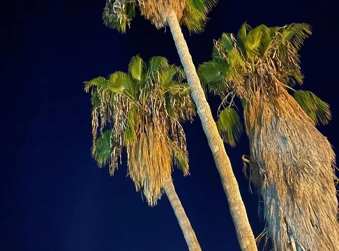 Grandmother's House * Famagusta (Northern Cyprus)