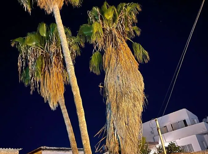 Grandmother's House *