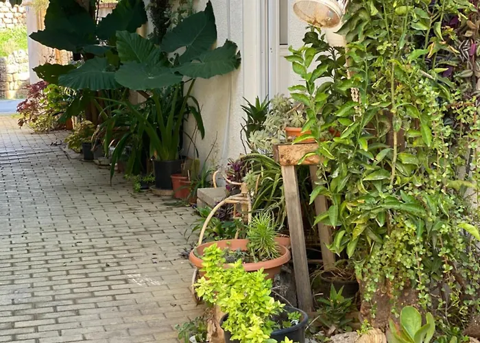 Grandmother's House Hébergement de vacances