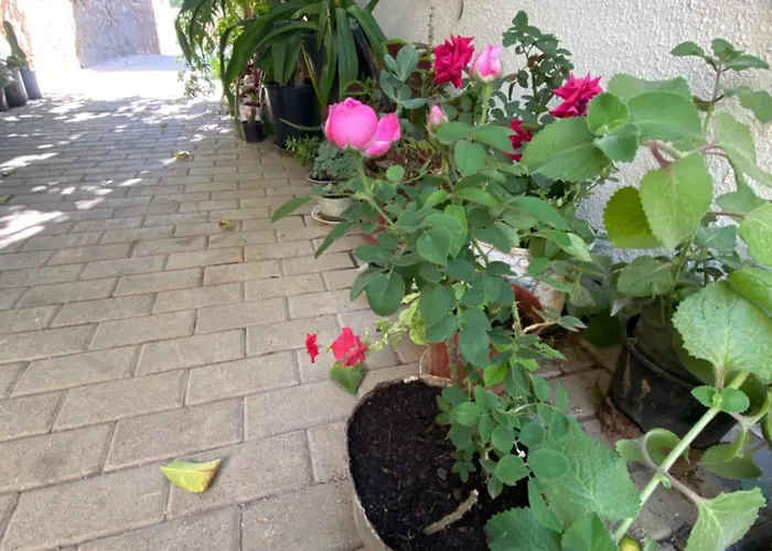 Grandmother's House Famagusta (Northern Cyprus)