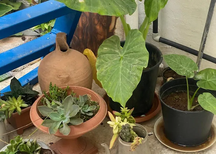 Grandmother's House Famagouste