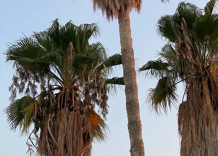 Grandmother's House Semesterbostad Famagusta (Northern Cyprus)